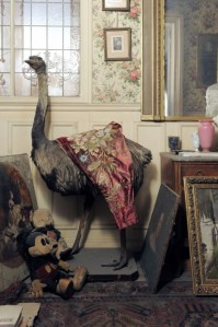 The eclectic taste of Madame de Florian: 18th Century furniture, 19th Century taxidermy, 20th Century art, and a pre-war Mickey.